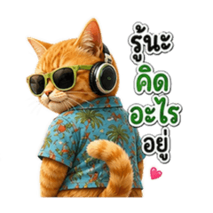 My name is KAI TUN