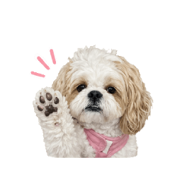 RoseDog
