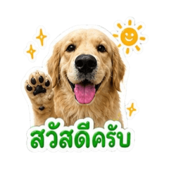 Bilzzard_20260502151511