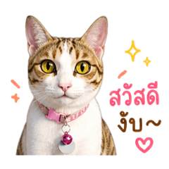 Khai-Tun_20260502133404