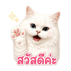 Snow white_20260502155700