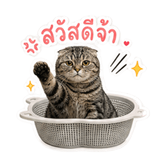 UDON Meaw Salid