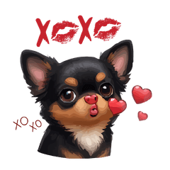 Moo Waan.Chihuahua