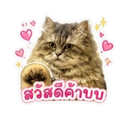 Poonyavee_20260506225553