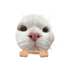 ยิปปี้แมวผลไม้