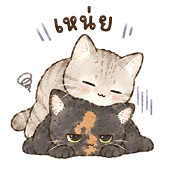 Luna & Lupin Tiny Cat Daily Life