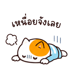 Neko & Pyon (เนโกะ & พยง) Ver.2