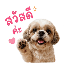 Amornpun Boonvanich_20260523191630