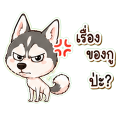 Saibi Chaotic Husky