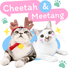 Cheetah maew lo & Meetang maew tong