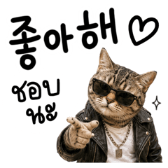 มิโซะ แมวสุดหล่อ (เกาหลี-ไทย)