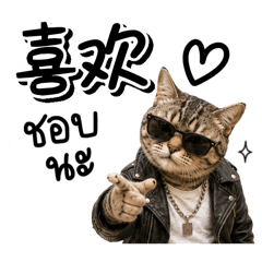 มิโซะ แมวสุดหล่อ (จีน-ไทย)