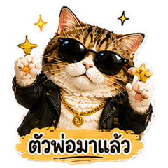 Khunpol Cat2