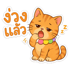 Cat Tomyum 2