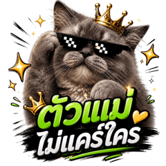 Hoshi_Cat V.Fun
