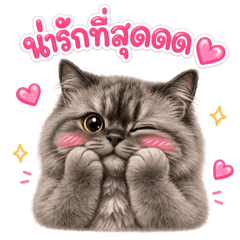 Hoshi_Cat V.Cute