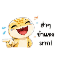 Gecko Gang vibes! Perfect for playful