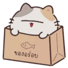Mao cat v1