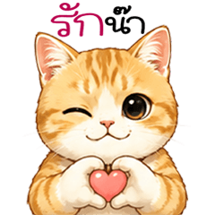 เจ้าแมวส้มอ้วนๆ_จอมซน_1