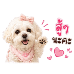 Tofu Dog V.2 By.Book