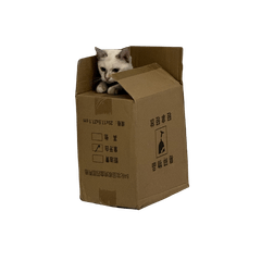 Aoun Mood Cat v.2