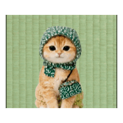 Karakusa kitty cat_20260629215143