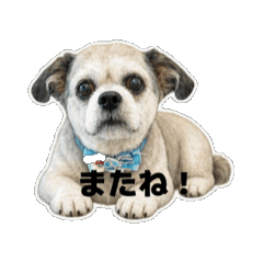 MUTSUKO_20260629220247