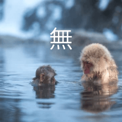 Japan animals2026