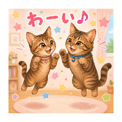 Our Cats Moka & Latte Common Emotions