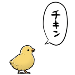 しゃべるヒヨコちゃん