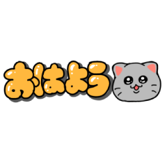 Slim & Cute Pop Text & Gray Cat