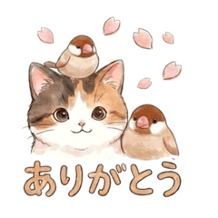 Cute Calico Cat & Java Sparrow: Big Text