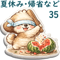 3D Shih tzu 2026 (Summer Vacation ) 35