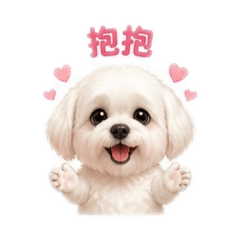 瑪爾濟斯LULU