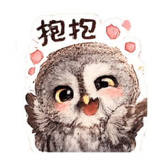 貓頭鷹聊天