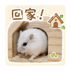 咬錢寶寶