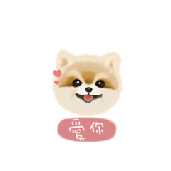 毛球出沒
