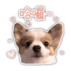 咪幾貼圖2