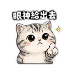 呆萌喵1眼神給出去