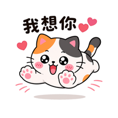 Calico Cat Daily Life 4 | Couple & Love