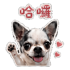 CHIWAWA SUPER WABO