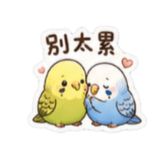 虎皮鸚鵡情侶報備專用貼圖5