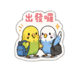 虎皮鸚鵡情侶報備專用貼圖2