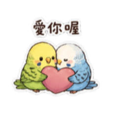 虎皮鸚鵡情侶報備專用貼圖