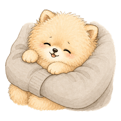Shy Hug Pomeranian