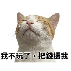 葉妙妙-崩潰股民