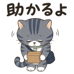Evening Delivery Tabby Replies