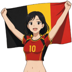 Belgium national football team