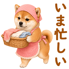 cute shibainu sitcker4