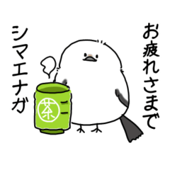 シマエナガのダジャレで気持ちを伝えましょ